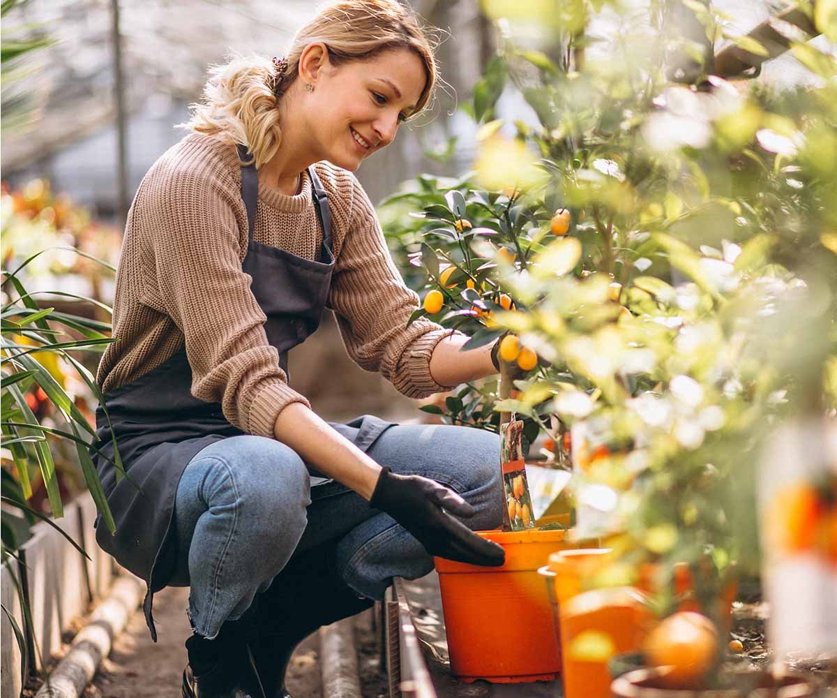 Transplanting Seedlings While May Moves Forward